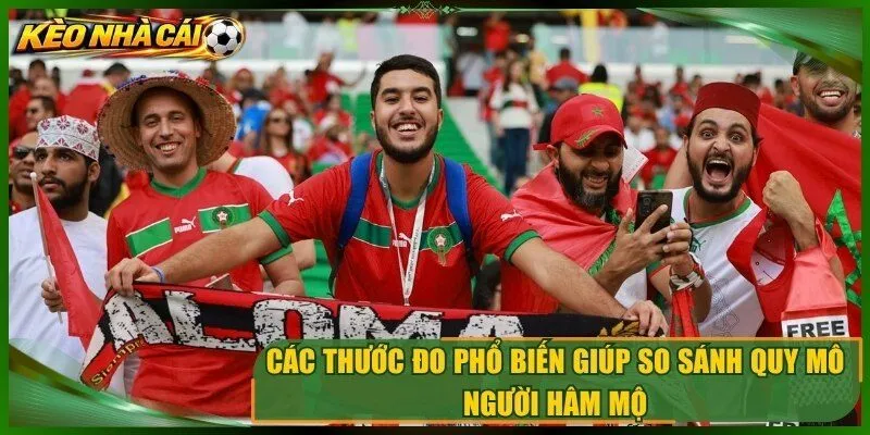 Các thước đo phổ biến giúp so sánh quy mô người hâm mộ