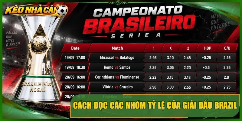 Cách đọc các nhóm tỷ lệ của giải đấu brazil