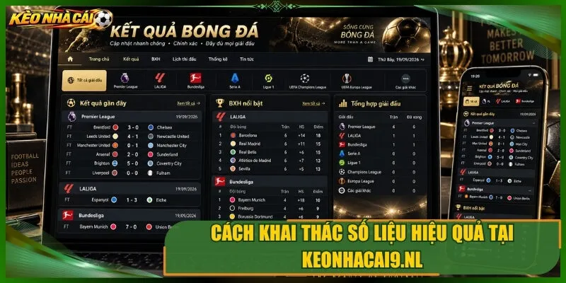 Cách khai thác số liệu hiệu quả tại identiproof.io