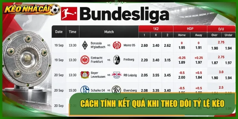 Cách tính kết quả khi theo dõi tỷ lệ kèo