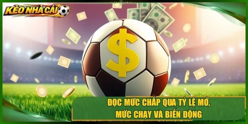 Đọc mức chấp qua tỷ lệ mở, mức chạy và biến động điểm ăn