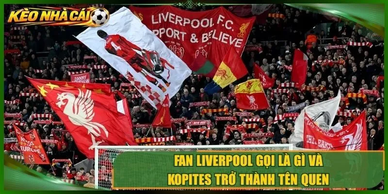 Fan Liverpool gọi là gì và Kopites trở thành tên quen