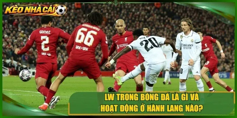 LW trong bóng đá là gì và hoạt động ở hành lang nào trên sân?