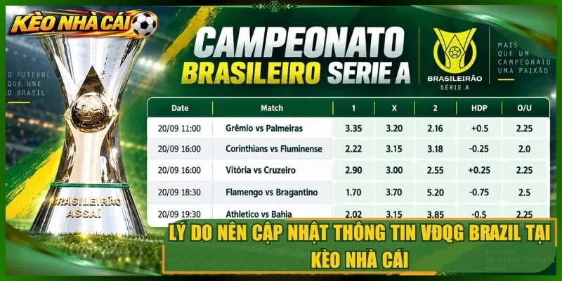 Lý do nên cập nhật thông tin vđqg brazil tại kèo nhà cái