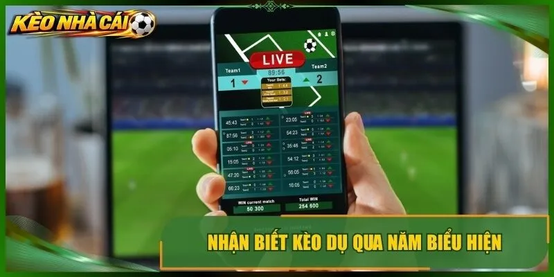 Nhận biết kèo dụ qua năm biểu hiện 