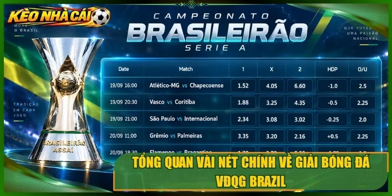 Tổng quan vài nét chính về giải bóng đá vđqg brazil